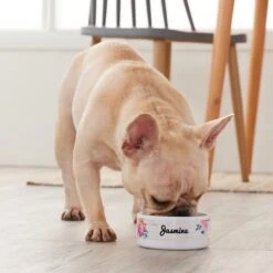Frisco Personalized Rustic Ceramic Dog & Cat Bowl -Chewy 306763 PT4. AC SS1800 V1639518086