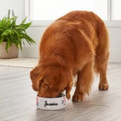 Frisco Personalized Rustic Ceramic Dog Bowl, 4.75-cup, 38oz -Chewy 306764 PT4. AC SS1800 V1639518092