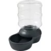 Frisco Wide Mouth Gravity Waterer 2 Frisco Wide Mouth Gravity Waterer -Chewy 308945 MAIN. AC SS1800 V1634158585