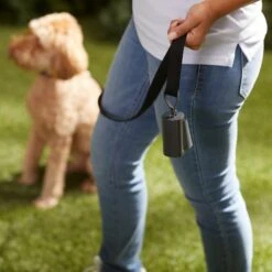 Frisco Poop Bag Square Design Dispenser -Chewy 309818 PT5. AC SS1800 V1669101248