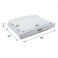 Chewy -Chewy 311772 PT1. AC SS1800 V1630682189