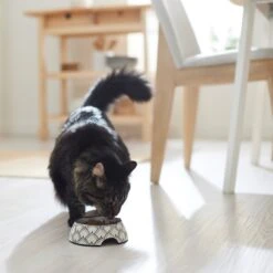 Frisco Moroccan Design Stainless Steel Dog & Cat Bowl -Chewy 311963 PT3. AC SS1800 V1642542386