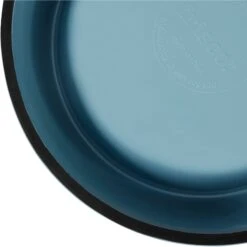 Frisco Coral Design Stainless Steel Dog & Cat Bowl -Chewy 311972 PT6. AC SS1800 V1642543392