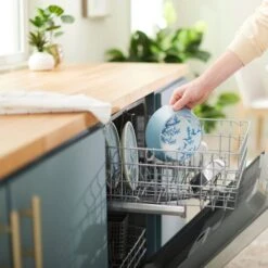 Frisco Coral Design Stainless Steel Dog & Cat Bowl -Chewy 311972 PT7. AC SS1800 V1642543254