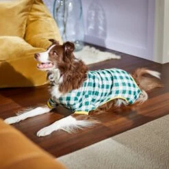 Frisco Boho Gingham Dog & Cat PJs -Chewy 312272 PT8. AC SS1800 V1644880063