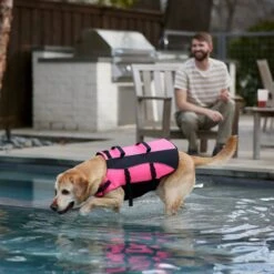 Frisco Ripstop Dog Life Jacket, Pink -Chewy 312380 PT8. AC SS1800 V1649275938