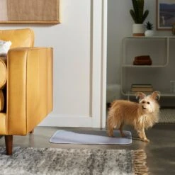 Frisco Washable Dog Potty Pads -Chewy 315712 PT3. AC SS1800 V1644880410