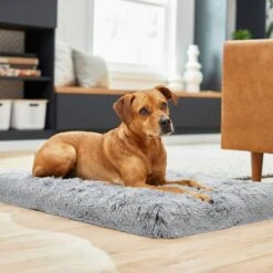 Frisco Eyelash Orthopedic Dog Crate Mat & Frisco Fold & Carry Single Door Collapsible Wire Dog Crate -Chewy 319010 PT4. AC SS1800 V1631628403