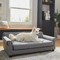 Frisco Sofa Pet Bed With Removable Cover & Frisco Eyelash Cat & Dog Blanket -Chewy 319504 PT4. AC SS1800 V1630625195