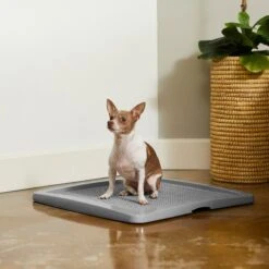 Frisco Training Pad Holder & Frisco Premium Dog Training & Potty Pads -Chewy 319526 PT4. AC SS1800 V1630624305