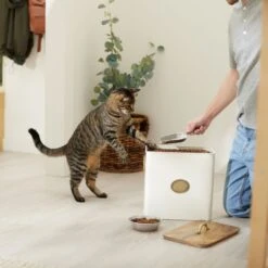 Frisco Premium Airtight Dog & Cat Food Storage Canister With Scoop 11 Frisco Premium Airtight Dog & Cat Food Storage Canister With Scoop -Chewy 331486 PT3. AC SS1800 V1657656891