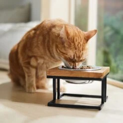 Frisco Premium Wood Elevated Single Dog & Cat Bowl -Chewy 331493 PT3. AC SS1800 V1657656892