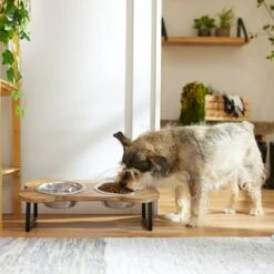 Frisco Premium Wood Elevated Bone Shape Stainless Steel Double Diner Dog & Cat Bowl, 3 Cup 10 Frisco Premium Wood Elevated Bone Shape Stainless Steel Double Diner Dog & Cat Bowl, 3 Cup -Chewy 331497 PT2. AC SS1800 V1657656892
