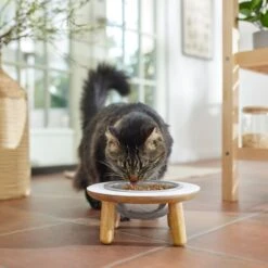 Frisco Premium Round Shape Elevated Single Dog & Cat Bowl 11 Frisco Premium Round Shape Elevated Single Dog & Cat Bowl -Chewy 331502 PT3. AC SS1800 V1657656892