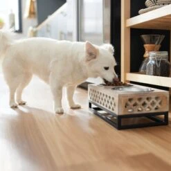 Frisco Premium Wood Elevated Stainless Steel Double Diner Dog & Cat Bowl, 3 Cup -Chewy 331507 PT2. AC SS1800 V1657656894