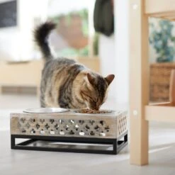 Frisco Premium Wood Elevated Stainless Steel Double Diner Dog & Cat Bowl, 3 Cup -Chewy 331507 PT3. AC SS1800 V1657656894