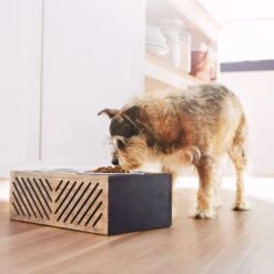 Frisco Premium Wood Elevated Stainless Steel Double Diner Dog & Cat Bowl, Black, 3 Cup -Chewy 331509 PT2. AC SS1800 V1657656894