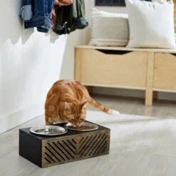 Frisco Premium Wood Elevated Stainless Steel Double Diner Dog & Cat Bowl, Black, 3 Cup -Chewy 331509 PT3. AC SS1800 V1657656894