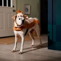Frisco Deer Dog & Cat Costume -Chewy 334874 PT7. AC SS1800 V1657720507