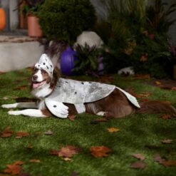 Frisco Seal Dog & Cat Costume -Chewy 334983 PT7. AC SS1800 V1657730462