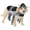 Frisco Spider Dog & Cat Costume -Chewy 335017 MAIN. AC SS1800 V1658718137