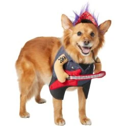 Frisco Front Walking Punk Rocker Dog & Cat Costume -Chewy 335087 PT3. AC SS1800 V1658346323