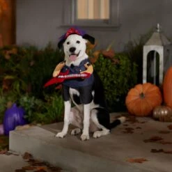 Frisco Front Walking Punk Rocker Dog & Cat Costume -Chewy 335087 PT7. AC SS1800 V1657732627