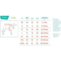 Frisco Front Walking Workout Girl Dog & Cat Costume -Chewy 335111 PT1. AC SS1800 V1658345613