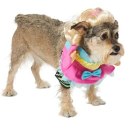 Frisco Front Walking Workout Girl Dog & Cat Costume -Chewy 335111 PT3. AC SS1800 V1659027675