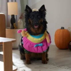 Frisco Front Walking Workout Girl Dog & Cat Costume -Chewy 335111 PT7. AC SS1800 V1657656881