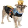 Frisco Royal Pharoah Dog & Cat Costume 2 Frisco Royal Pharoah Dog & Cat Costume -Chewy 335114 MAIN. AC SS1800 V1658346560
