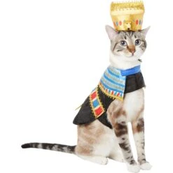 Frisco Royal Pharoah Dog & Cat Costume -Chewy 335114 PT2. AC SS1800 V1658349300