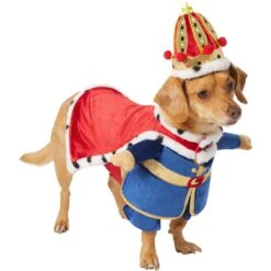 Frisco Front Walking Royal King Dog & Cat Costume 13 Frisco Front Walking Royal King Dog & Cat Costume -Chewy 335127 PT3. AC SS1800 V1658346228