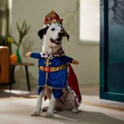 Frisco Front Walking Royal King Dog & Cat Costume 16 Frisco Front Walking Royal King Dog & Cat Costume -Chewy 335127 PT7. AC SS1800 V1659037728