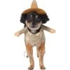 Frisco Front Walking Scarecrow Dog & Cat Costume -Chewy 335135 MAIN. AC SS1800 V1658349298