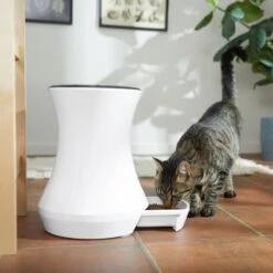 Frisco Automatic Cat & Dog Feeder, White, 13.5 Cup 16 Frisco Automatic Cat & Dog Feeder, White, 13.5 Cup -Chewy 345285 PT6. AC SS1800 V1658219294