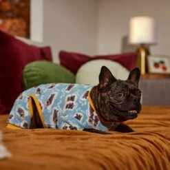 Frisco Love Otters Dog & Cat Fleece Pajamas 14 Frisco Love Otters Dog & Cat Fleece Pajamas -Chewy 353746 PT6. AC SS1800 V1660749811