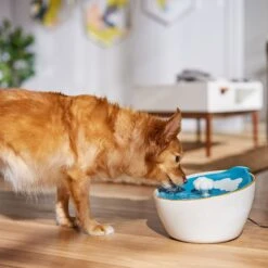 Frisco Ceramic Clouds Dog & Cat Fountain -Chewy 355803 PT4. AC SS1800 V1665684810