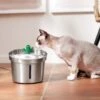 Frisco Stainless Steel Cactus & Leaf Dog & Cat Fountain -Chewy 355814 MAIN. AC SS1800 V1665684257