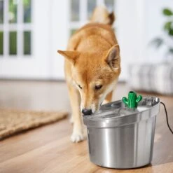 Frisco Stainless Steel Cactus & Leaf Dog & Cat Fountain 14 Frisco Stainless Steel Cactus & Leaf Dog & Cat Fountain -Chewy 355814 PT5. AC SS1800 V1665683869