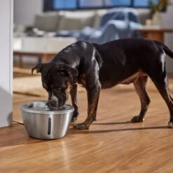 Frisco Stainless Steel Heart Dog & Cat Fountain -Chewy 355816 PT5. AC SS1800 V1665684540