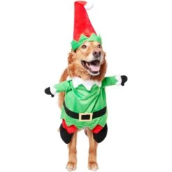 Frisco Front Walking Elf Dog & Cat Costume 14 Frisco Front Walking Elf Dog & Cat Costume -Chewy 357956 PT3. AC SS1800 V1660760416