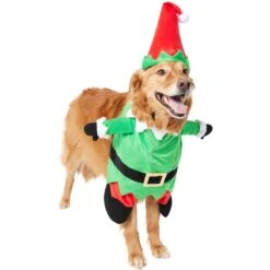 Frisco Front Walking Elf Dog & Cat Costume 15 Frisco Front Walking Elf Dog & Cat Costume -Chewy 357956 PT4. AC SS1800 V1660757458