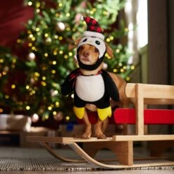Frisco Front Walking Holiday Penguin Dog & Cat Costume -Chewy 358020 PT7. AC SS1800 V1661798757