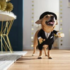 Frisco Front Walking New Years Tuxedo Dog & Cat Costume -Chewy 358028 PT7. AC SS1800 V1661799888