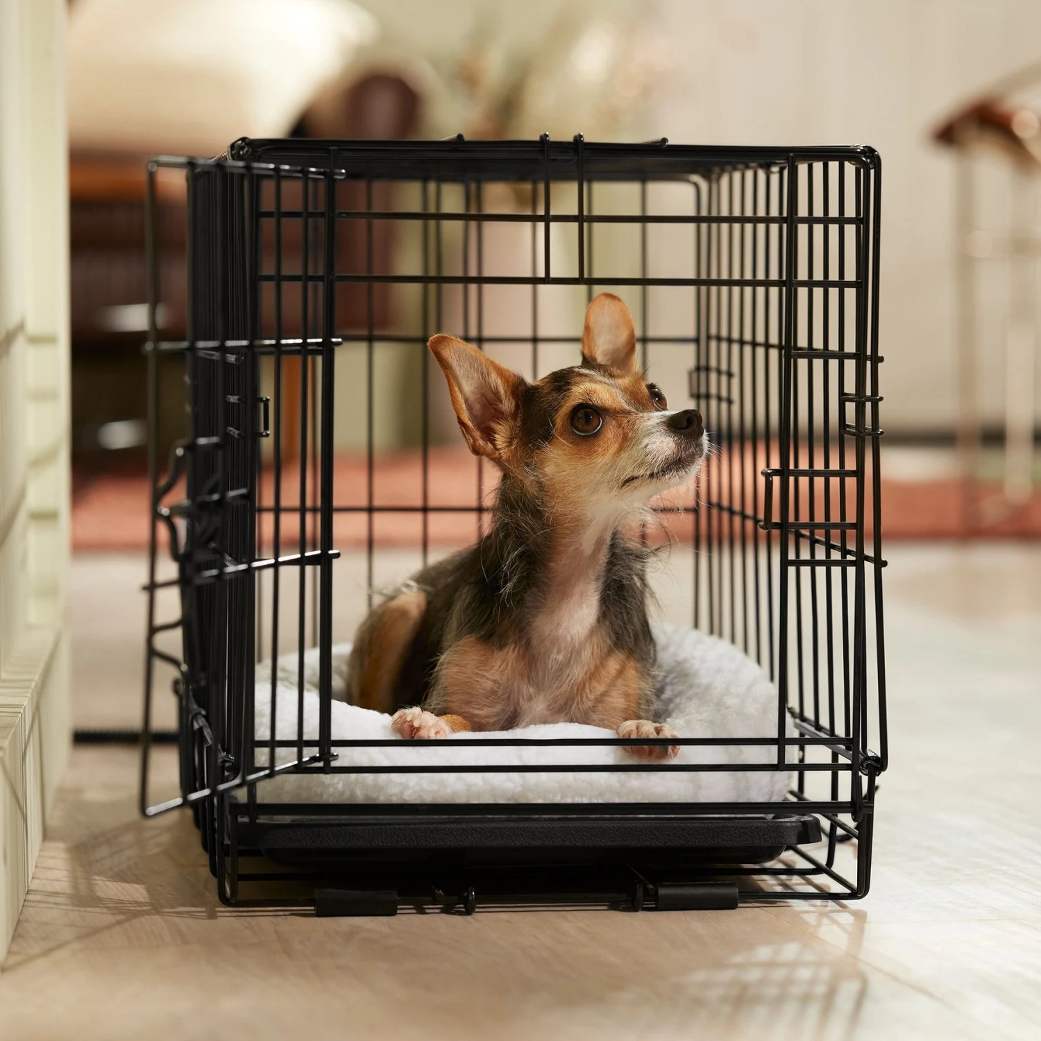 Frisco Adjustable Electrical Dog & Cat Heated Crate Mat With Timer 8 Frisco Adjustable Electrical Dog & Cat Heated Crate Mat With Timer - Image 6