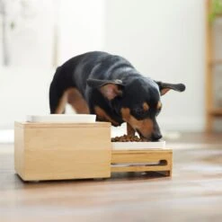 Frisco Elevated Non-Skid Bamboo Melamine Bowl Double Diner With Bamboo Stand 9 Frisco Elevated Non-Skid Bamboo Melamine Bowl Double Diner With Bamboo Stand -Chewy 363385 PT5. AC SS1800 V1657657267