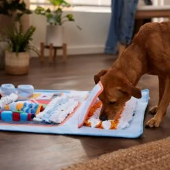 Frisco Vending Machine Snuffle Mat, Blue, Large -Chewy 363397 PT2. AC SS1800 V1660750518