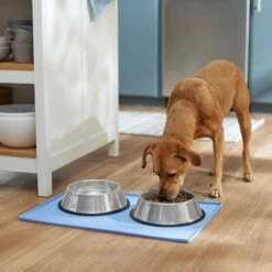 Frisco Silicone Dog & Cat Food Mat, Blue -Chewy 363399 PT2. AC SS1800 V1660750522
