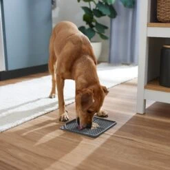 Frisco Non-skid Square Silicone Dog & Cat Lick Mat -Chewy 363402 PT2. AC SS1800 V1668118082